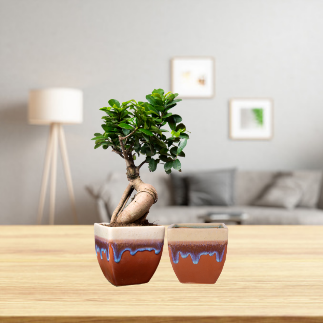 Exotic Green Dual Orange Colour Cubo Shape Ceramic Pot I Ceramic Pot for Indoor Plants I Combo Pack Set of 2