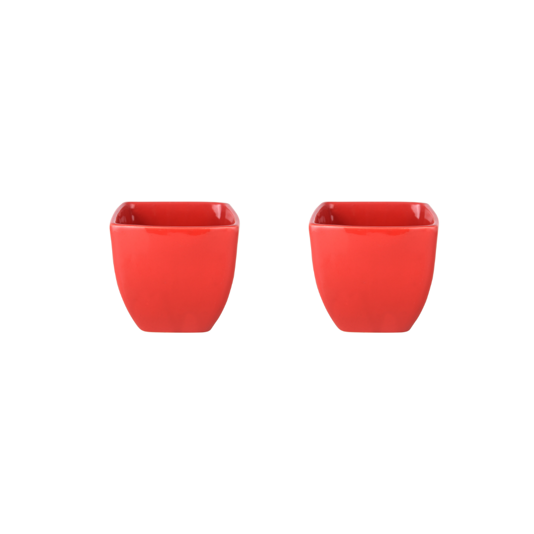 Exotic Green Red Colour Cubo Shape Ceramic Pot I Ceramic Pot for Indoor Plants I Combo Pack Set of 2