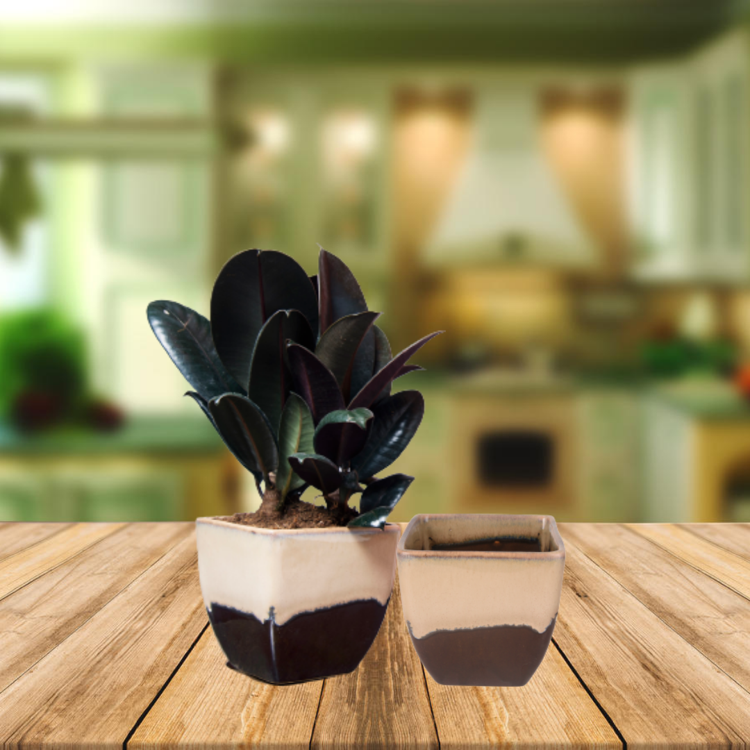 Exotic Green Dual Orange Colour Cubo Shape Ceramic Pot I Ceramic Pot for Indoor Plants I Combo Pack Set of 2