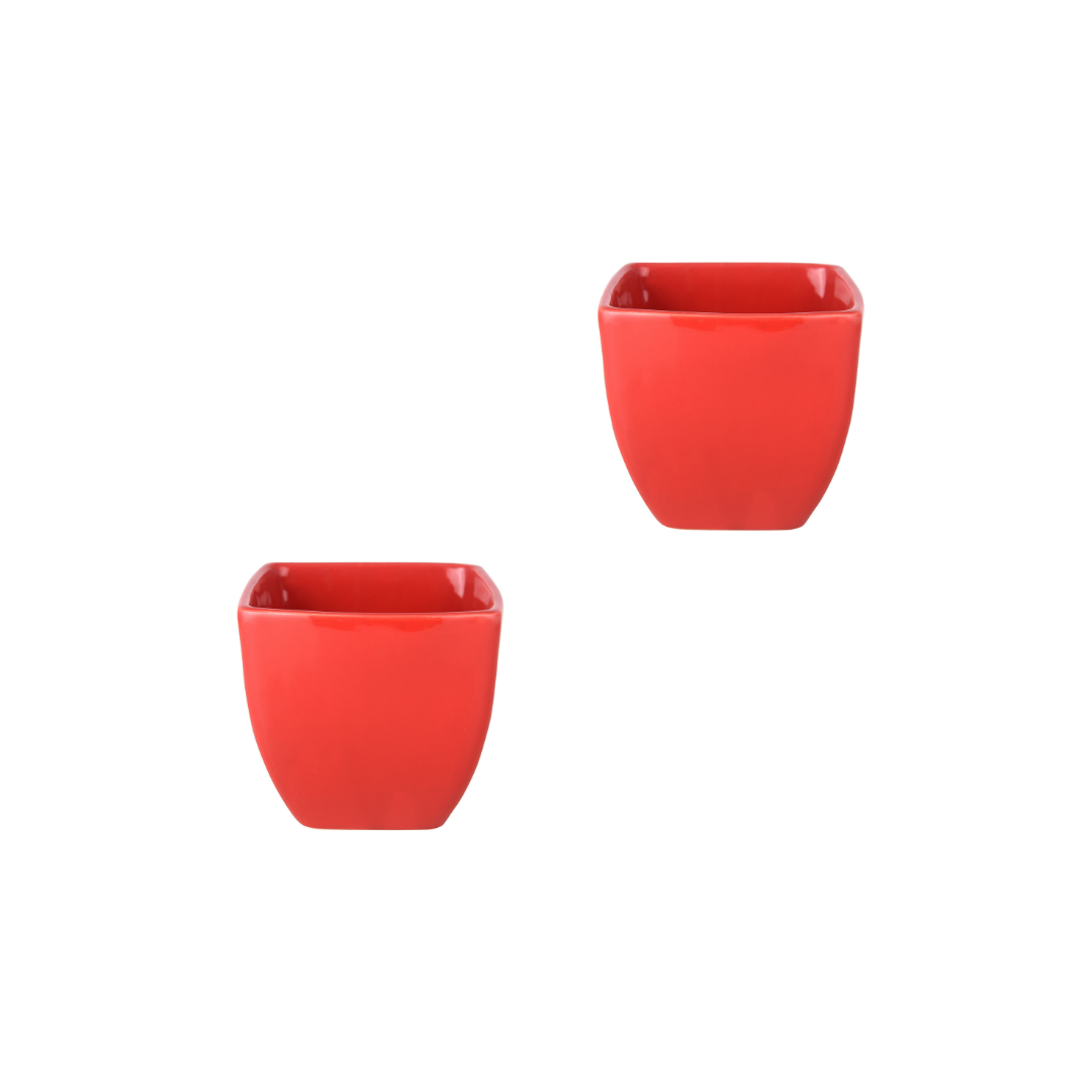 Exotic Green Red Colour Cubo Shape Ceramic Pot I Ceramic Pot for Indoor Plants I Combo Pack Set of 2