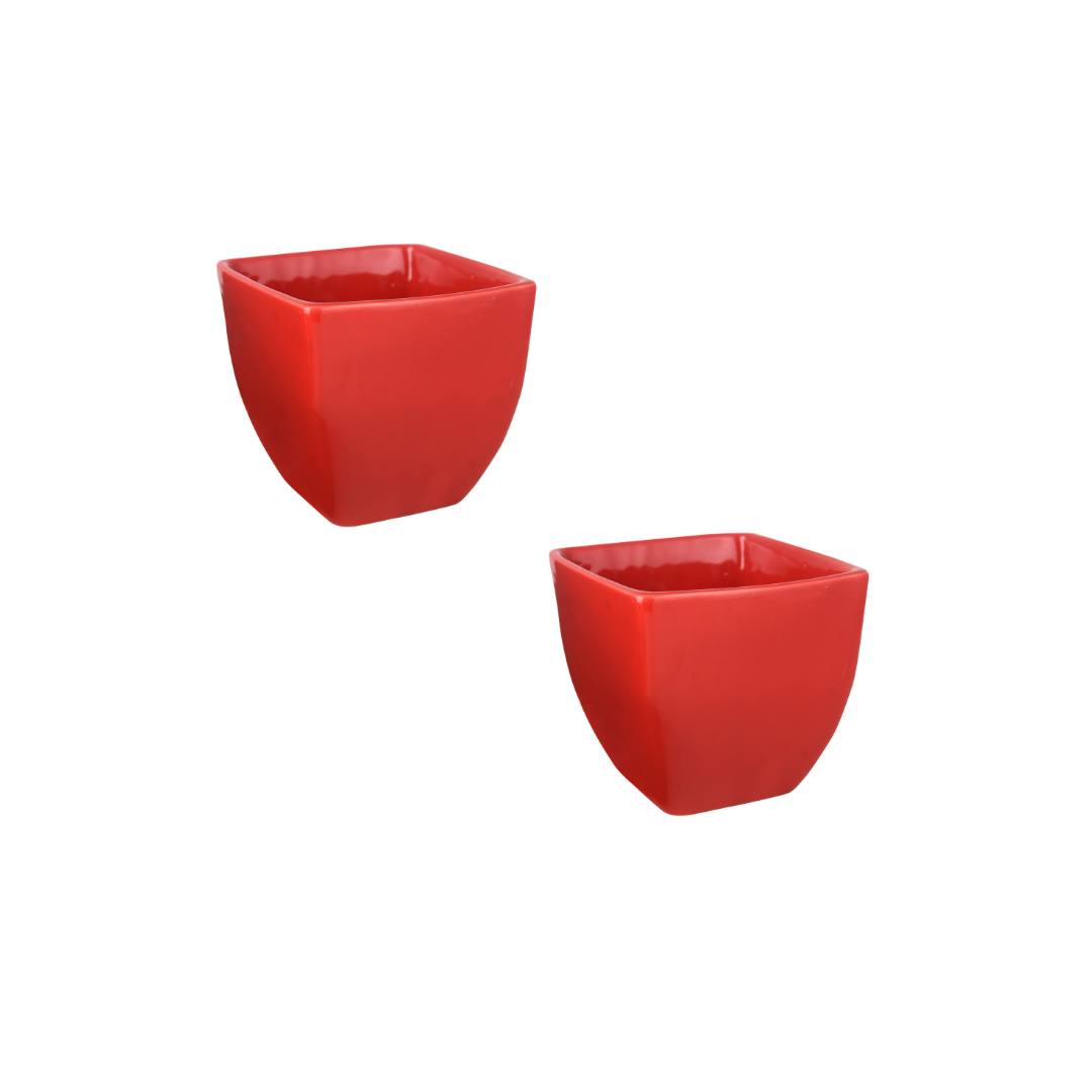 Exotic Green Red Colour Cubo Shape Ceramic Pot I Ceramic Pot for Indoor Plants I Combo Pack Set of 2