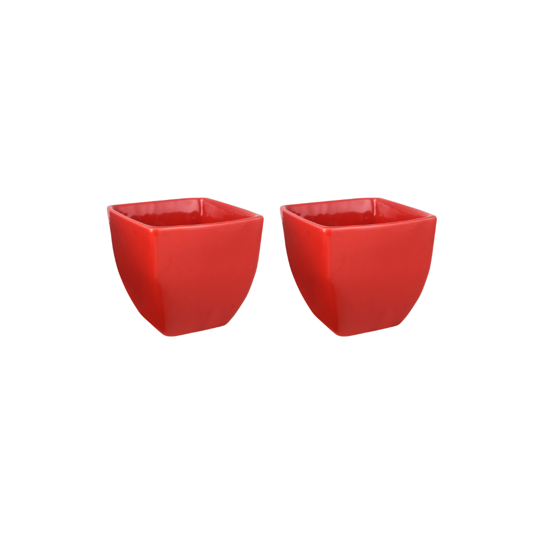 Exotic Green Red Colour Cubo Shape Ceramic Pot I Ceramic Pot for Indoor Plants I Combo Pack Set of 2