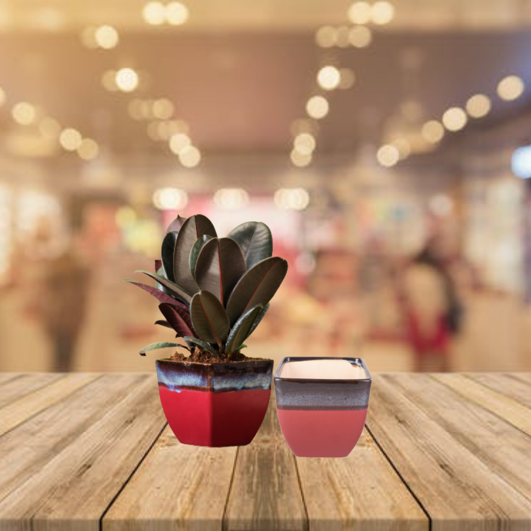 Exotic Green Dual Orange Colour Cubo Shape Ceramic Pot I Ceramic Pot for Indoor Plants I Combo Pack Set of 2