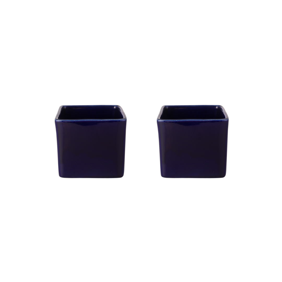 Exotic Green Blue Colour Square Shape Ceramic Pot I Ceramic Pot for Indoor Plants I Combo Pack Set of 2
