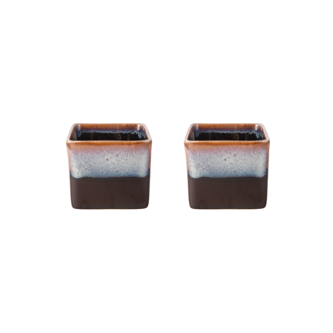 Exotic Green Dual Choco Brown Colour Square Shape Ceramic Pot I Ceramic Pot for Indoor Plants I Combo Pack Set of 2