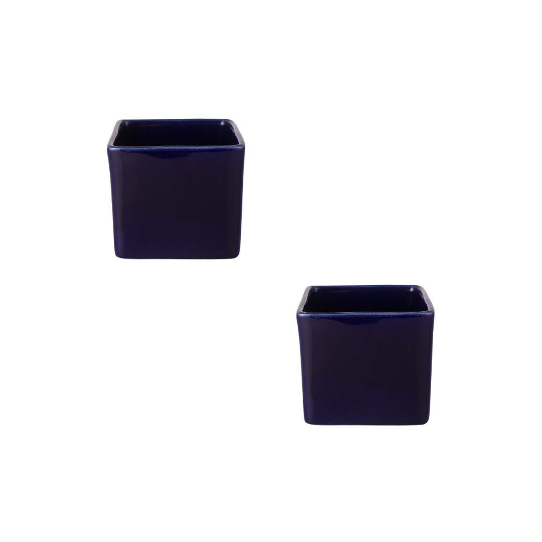 Exotic Green Blue Colour Square Shape Ceramic Pot I Ceramic Pot for Indoor Plants I Combo Pack Set of 2