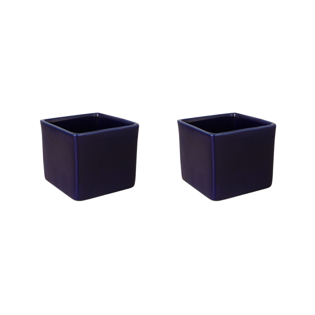 Exotic Green Blue Colour Square Shape Ceramic Pot I Ceramic Pot for Indoor Plants I Combo Pack Set of 2