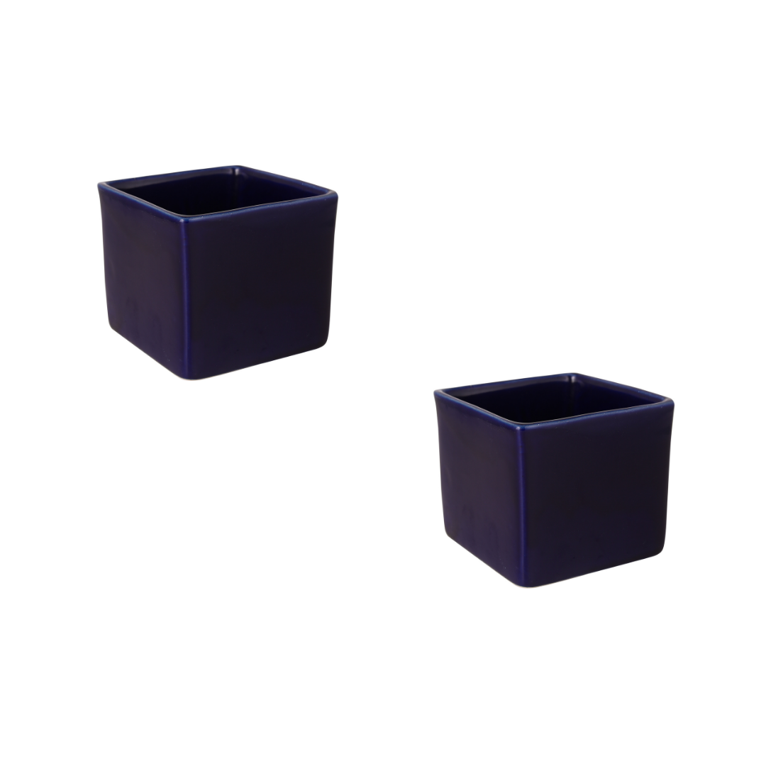 Exotic Green Blue Colour Square Shape Ceramic Pot I Ceramic Pot for Indoor Plants I Combo Pack Set of 2