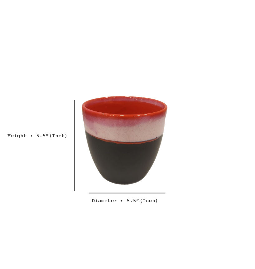 Exotic Green Dual Color Rainbow Black Ceramic Pot/ Planter