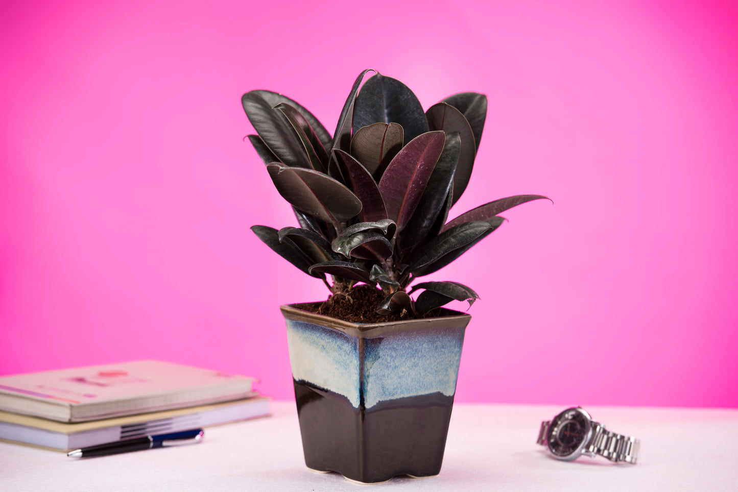 Exotic Green Dual Color Ocean Blue Ceramic Pottery/ Planter/Pot for Indoor Plants