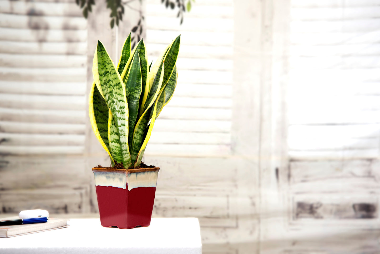 Exotic Green Dual Color Ocean Blue Ceramic Pottery/ Planter/Pot for Indoor Plants