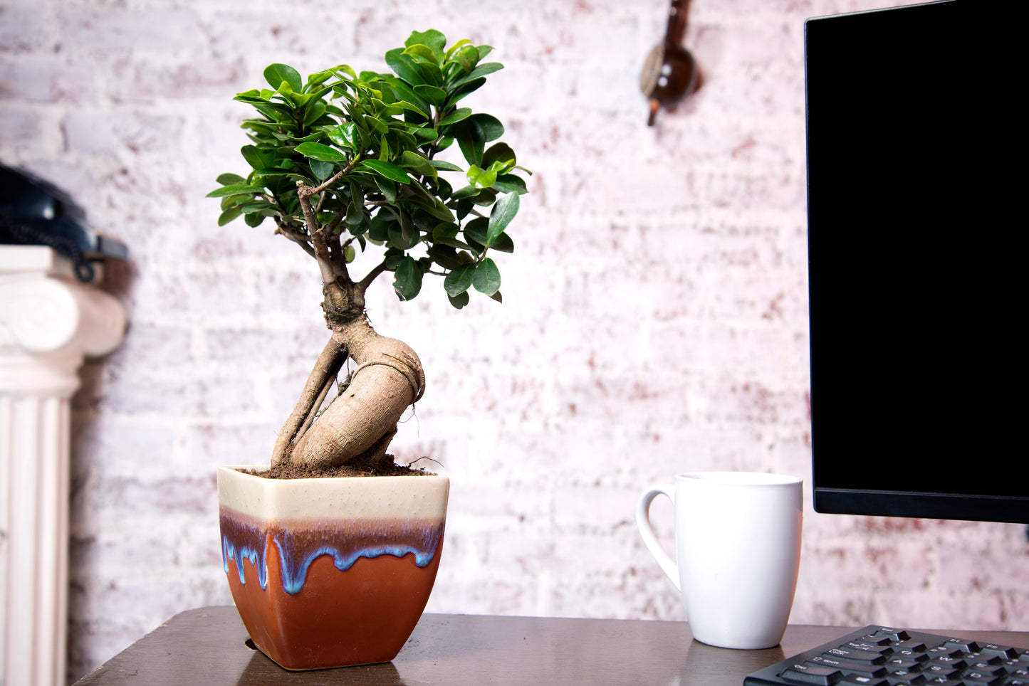 Exotic Green Dual English Purple Cubo Shape Ceramic Studio Pottery/ Planter/Pot for Indoor Plants