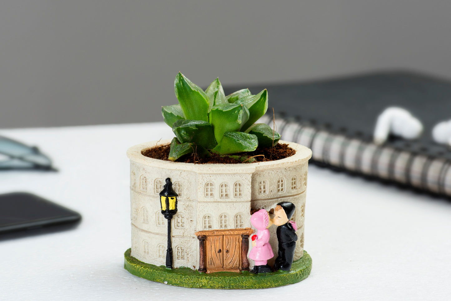 Exotic Green Small Beautiful Attractive Beige Colour Design Fiber Planter for Succulents Plants.