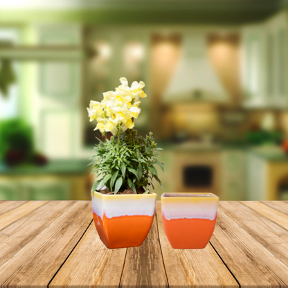 Exotic Green Dual Orange Colour Cubo Shape Ceramic Pot I Ceramic Pot for Indoor Plants I Combo Pack Set of 2