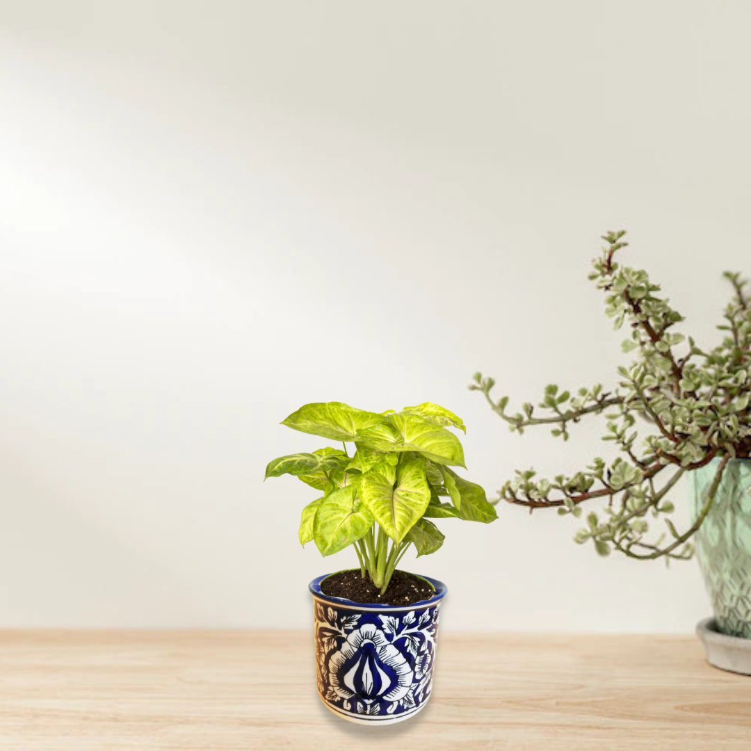 Exotic Green Mughal Floral Art Hand Painted Blue Color Ceramic Pot, Pot For Live Plants