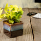 Exotic Green Dual Rainbow Black Colour Square Shape Ceramic Studio Pottery/ Planter/Pot for Indoor Plants