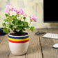 Exotic Green Beautiful Multicolor Ceramic Pot, Planter