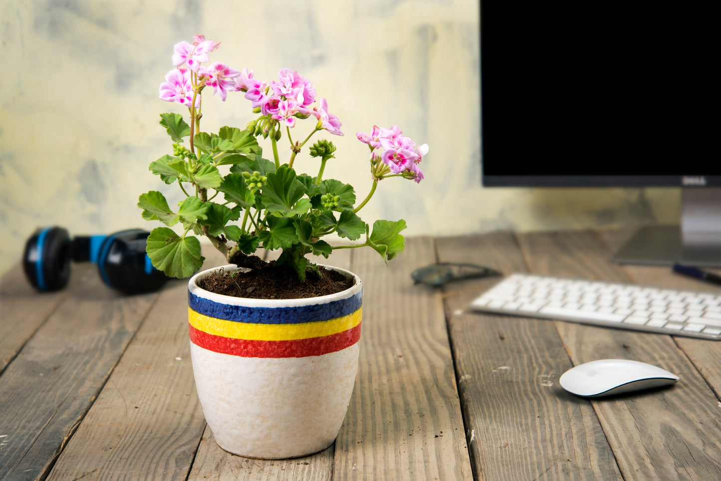 Exotic Green Beautiful Multicolor Ceramic Pot, Planter