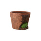 Exotic Green Beautiful Attractive Brown Colour Frog Fiber Planter for Indoor Plants & Balcony Gardening